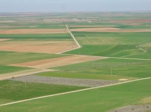 AGRICULTURAL LAND  WITH STORAGE FACILITIES, IN TORREFRESNEDA (BADAJOZ)