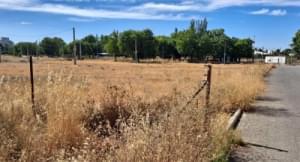 Auction of Plot in Zafra (Badajoz). Registered land 17.902